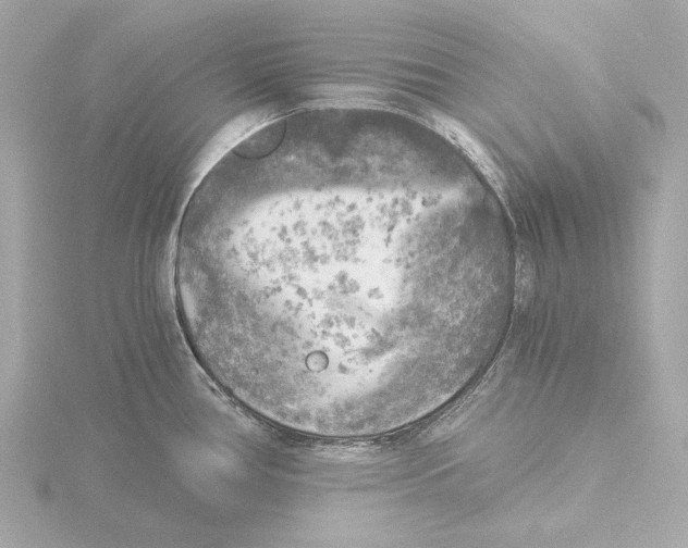 X0000116051386200912181242