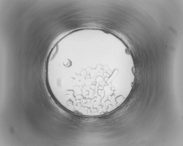 X0000116051387200912181242