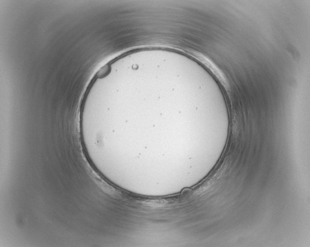 X0000116051388200912181242