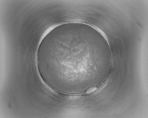 X0000116051389200912181242