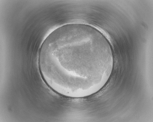 X0000116051390200912181242