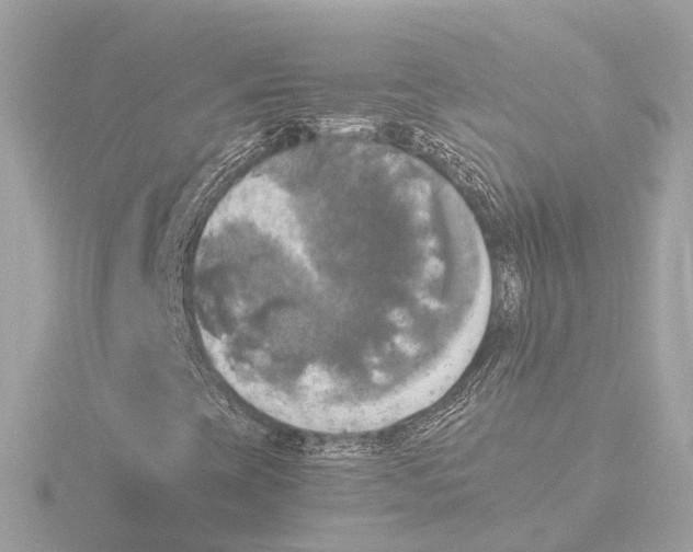 X0000116051393200912181241