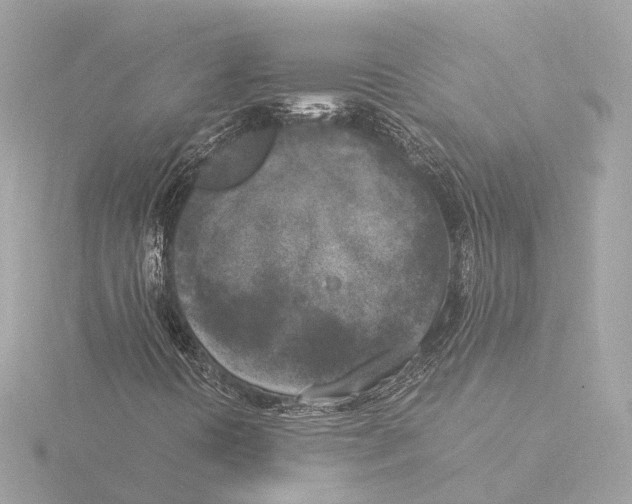 X0000116051394200912181241