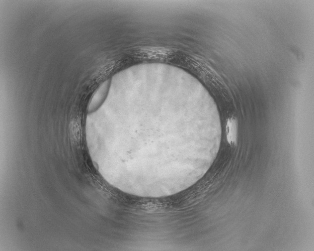 X0000116051395200912181242