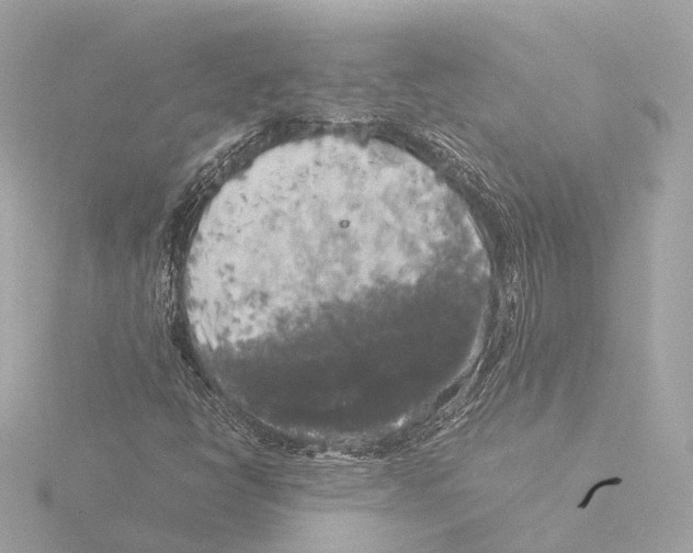 X0000116051398200912181242