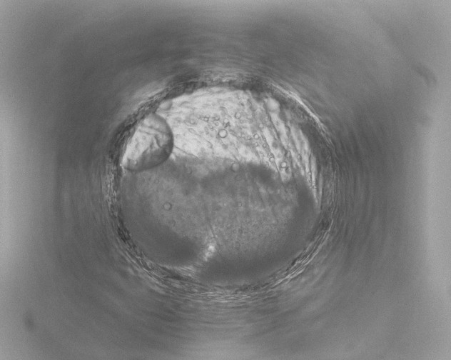 X0000116051399200912181242