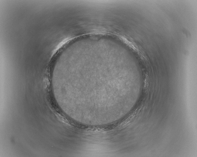 X0000116051400200912181242