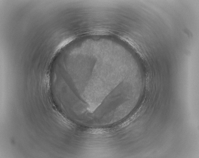 X0000116051402200912181242