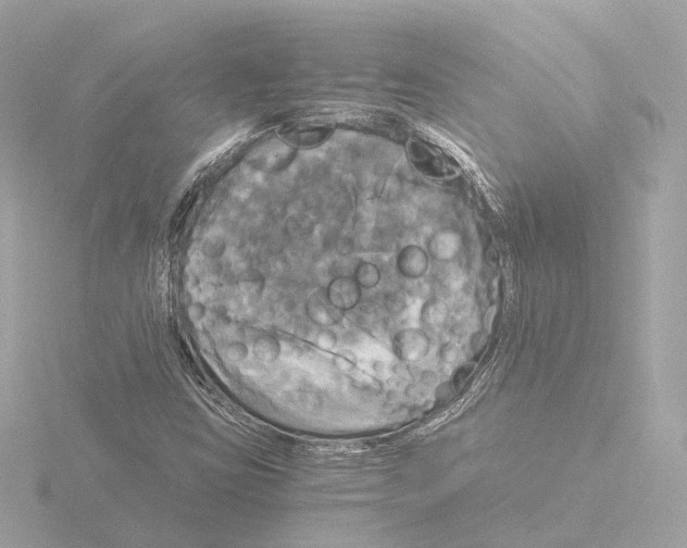 X0000116051403200912181242