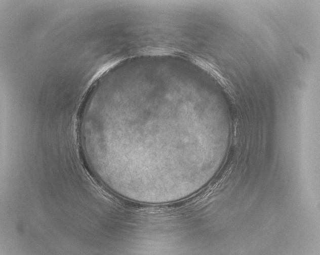 X0000116051404200912181242