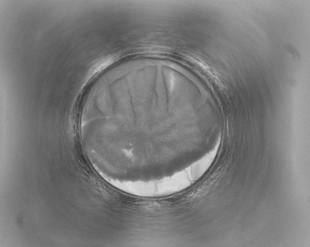 X0000116051405200912181242