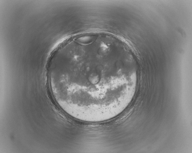 X0000116051406200912181242