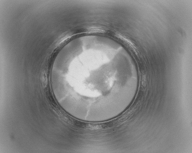 X0000116051407200912181242