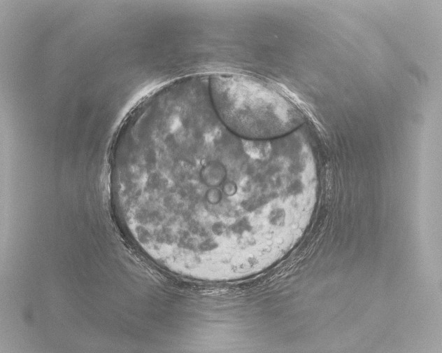 X0000116051408200912181242