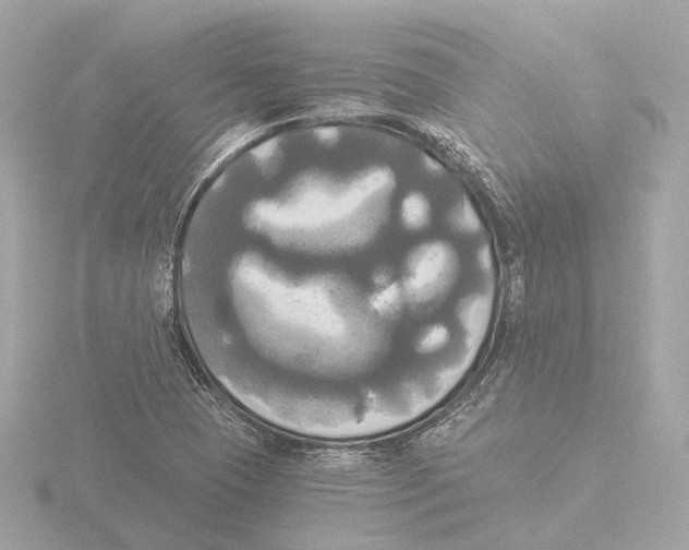 X0000116051409200912181242