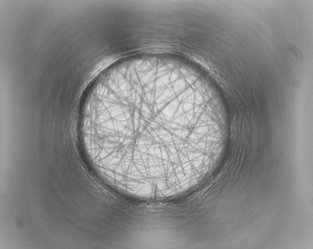 X0000116051410200912181242