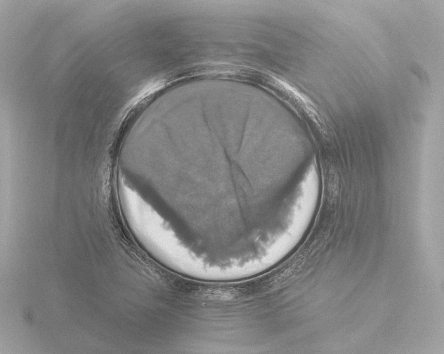 X0000116051411200912181242