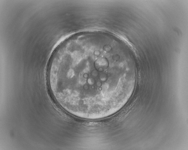 X0000116051412200912181242