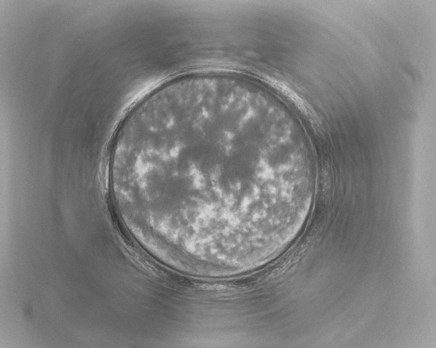 X0000116051413200912181242