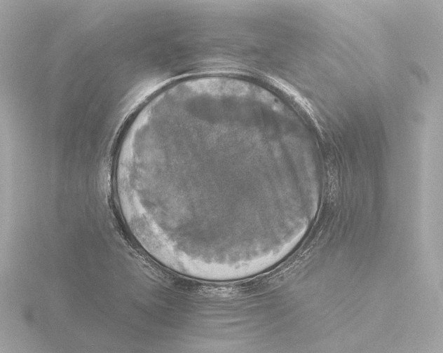 X0000116051415200912181242