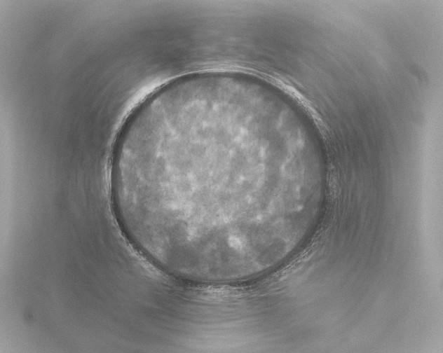 X0000116051416200912181242