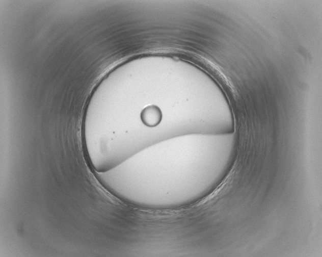 X0000116051417200912181242