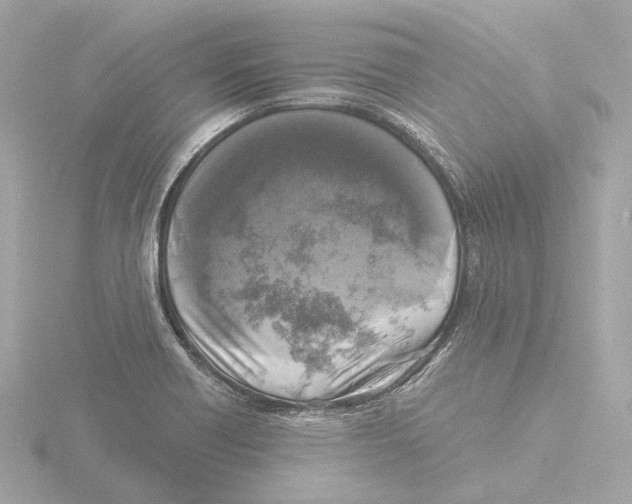 X0000116051418200912181242