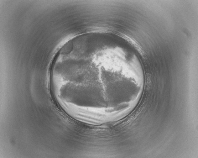 X0000116051419200912181242