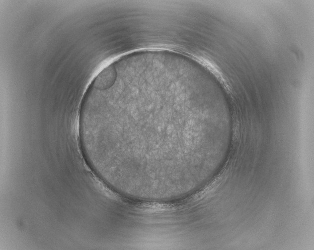 X0000116051420200912181242