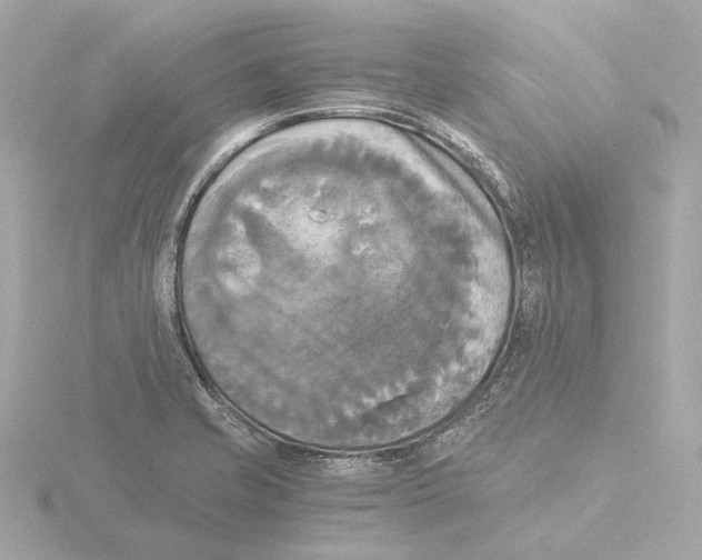 X0000116051421200912181242