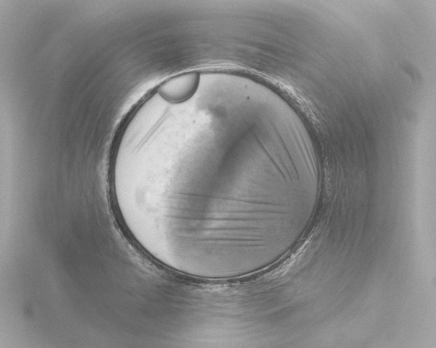 X0000116051422200912181242