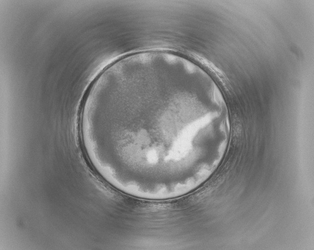 X0000116051423200912181242