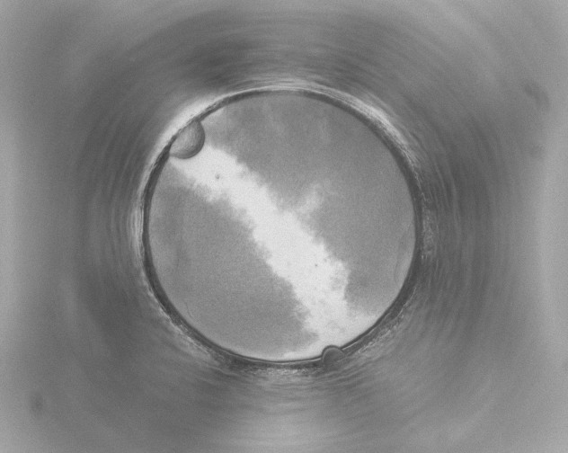 X0000116051424200912181242