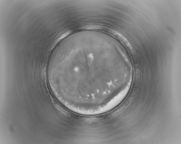 X0000116051425200912181242