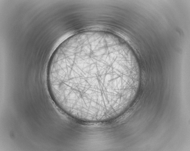 X0000116051426200912181242