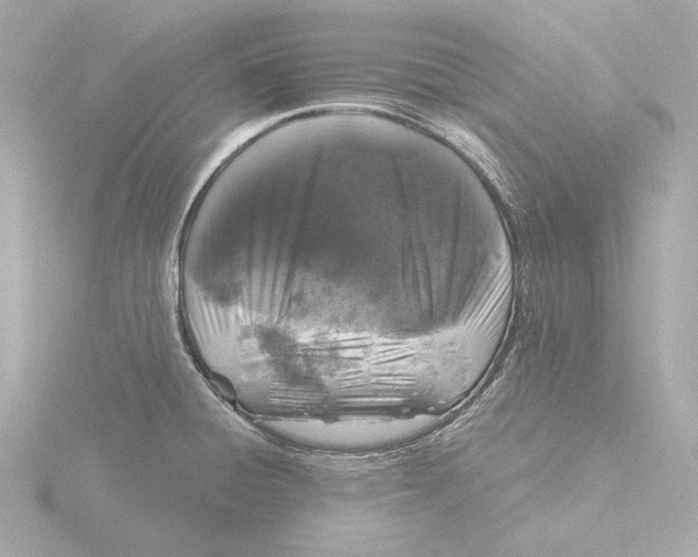 X0000116051428200912181242