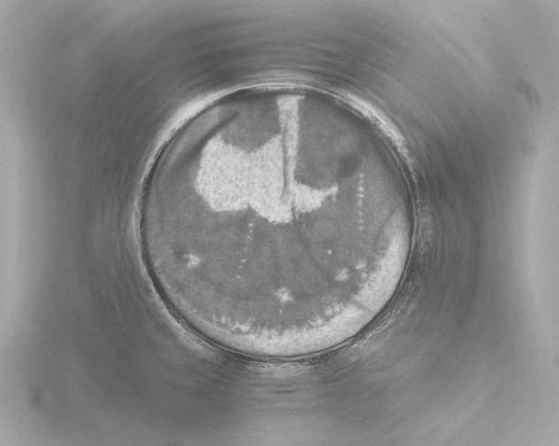 X0000116051429200912181242