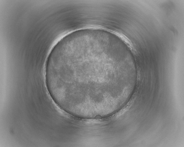 X0000116051430200912181242