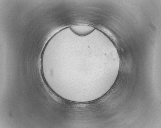 X0000116051431200912181242