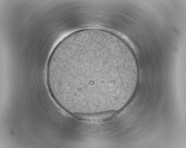 X0000116051432200912181242