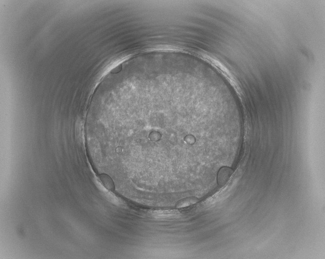 X0000116051433200912181242