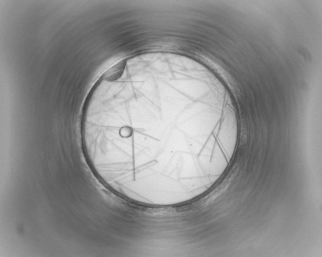 X0000116051434200912181242