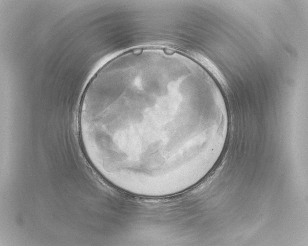 X0000116051436200912181242