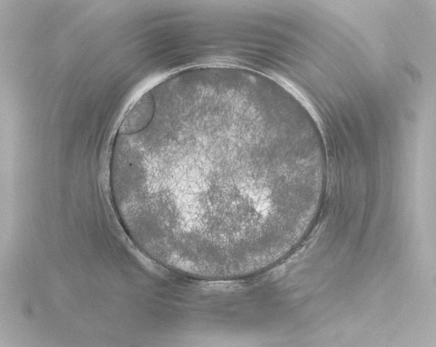 X0000116051437200912181242