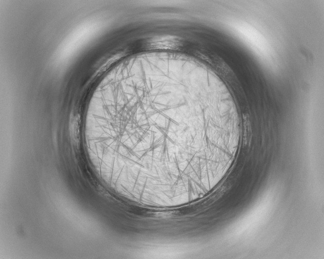 X0000116051438200912181242