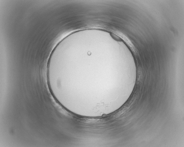 X0000116051439200912181242