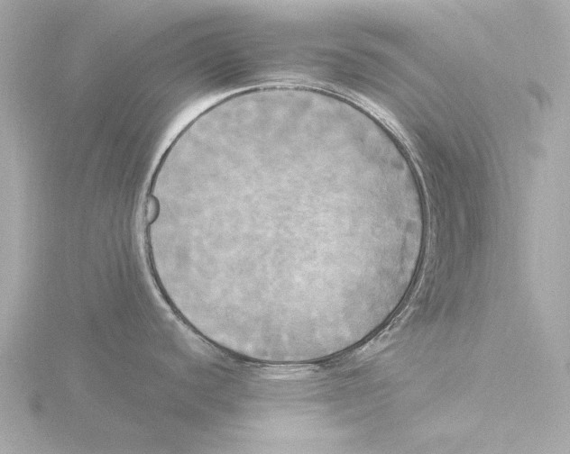 X0000116051440200912181242