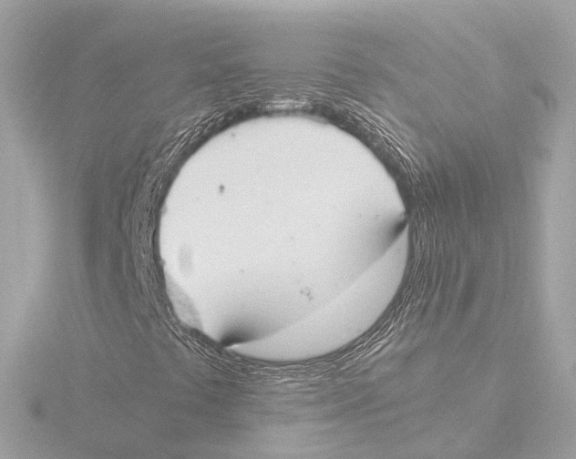 X0000116051441200912181241