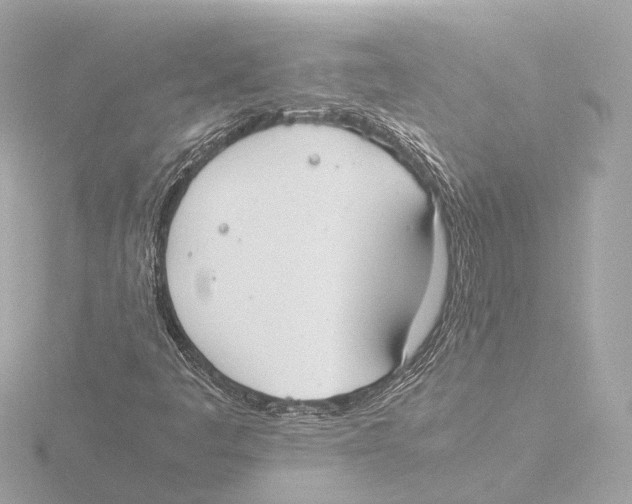 X0000116051445200912181241