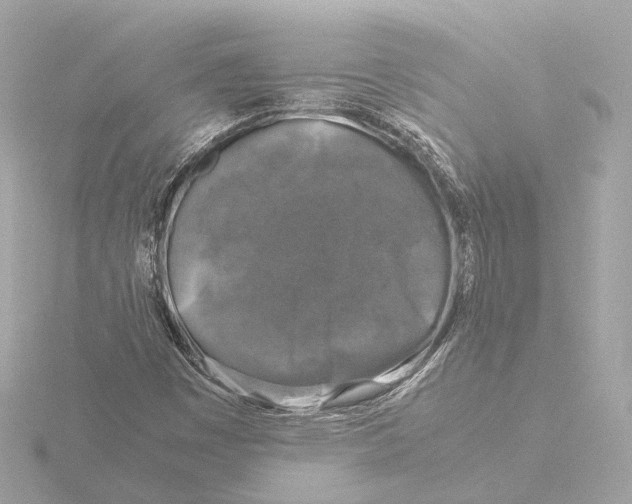 X0000116051449200912181241